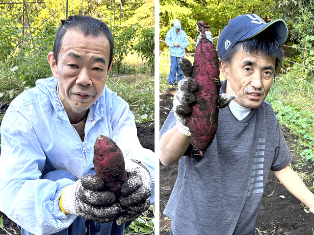 [収獲！] 農福連携３年目！ 今年もまずまずの収穫でした(^^♪：11月７日(金)