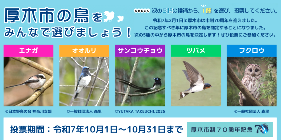 [残念！] 厚木市「市の鳥」市民投票、「フクロウ」にはならず：２月１日(日)
