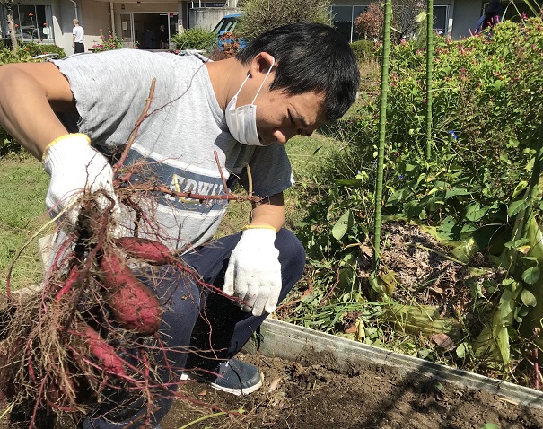 【今年の集大成は「サツマイモ」！(9月29日(水)＆10月23日(土)】