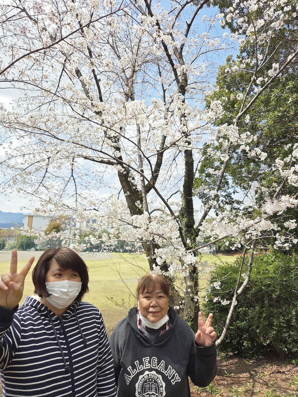 [お花見２題！] 恒例の場所で今年も「お花見」が出来る幸せをかみしめて(^^♪ ひだまりチームは、去年から恒例の(^^♪「鳶尾中央公園」で！：４月５日(土) 2