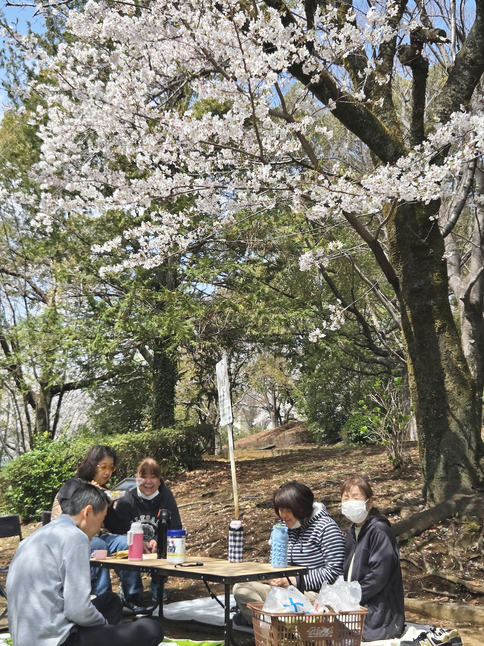 [お花見２題！] 恒例の場所で今年も「お花見」が出来る幸せをかみしめて(^^♪ ひだまりチームは、去年から恒例の(^^♪「鳶尾中央公園」で！：４月５日(土) 3
