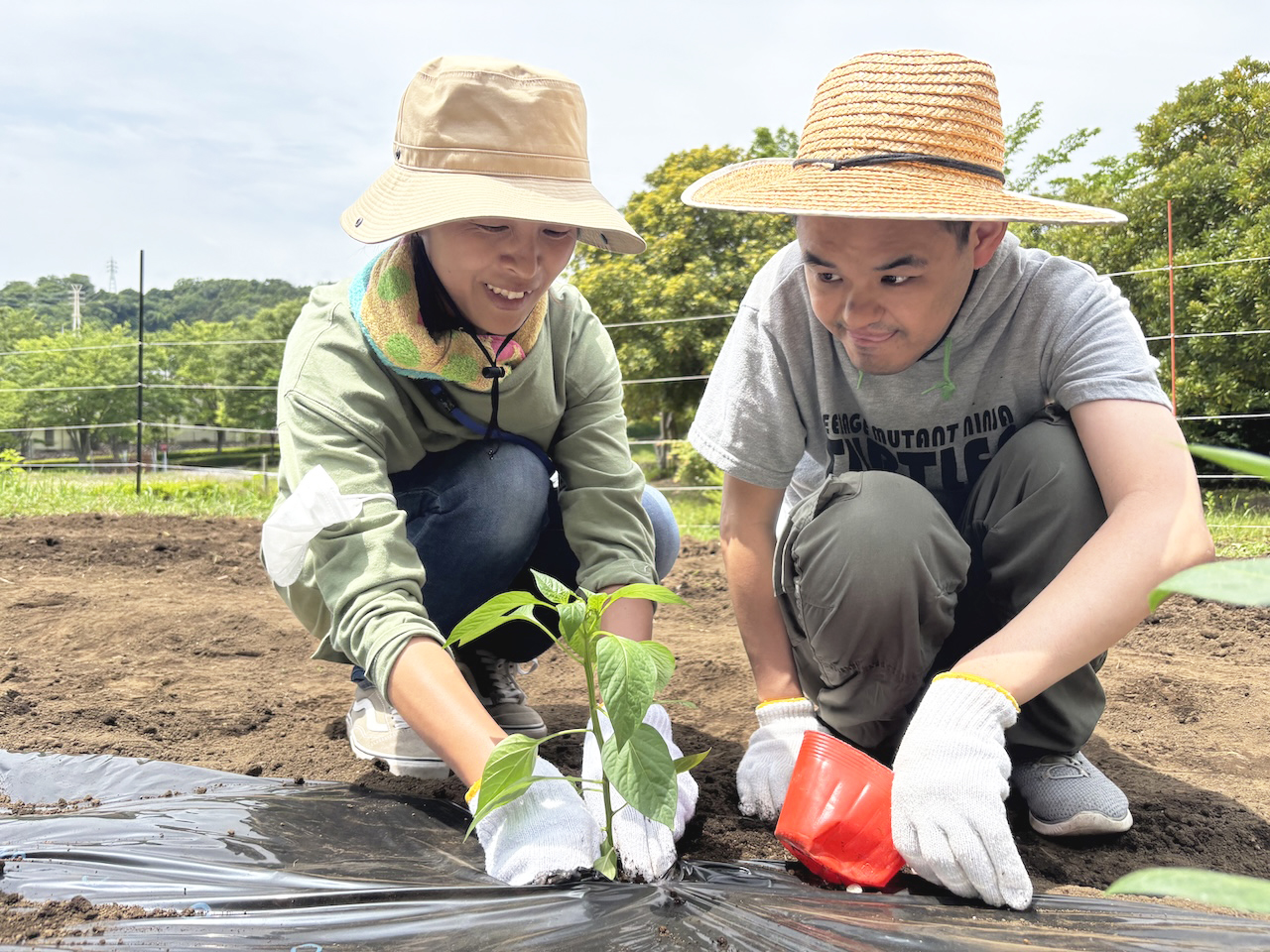 [今月の農福!] 里芋と夏野菜の苗を植え付けました! :5月15日(木)2
