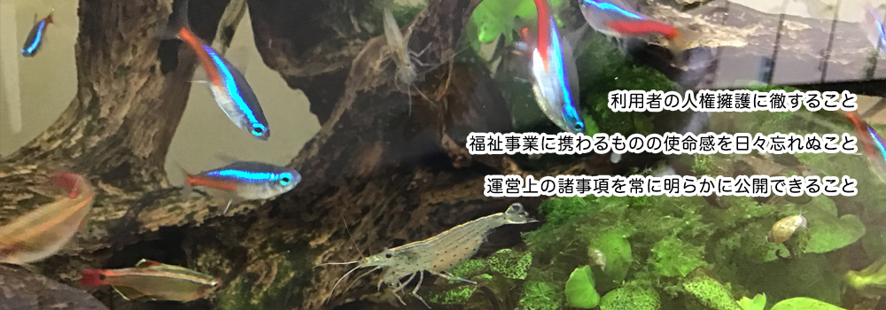 愛の森学園
