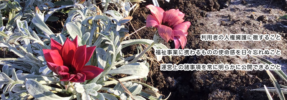 愛の森学園