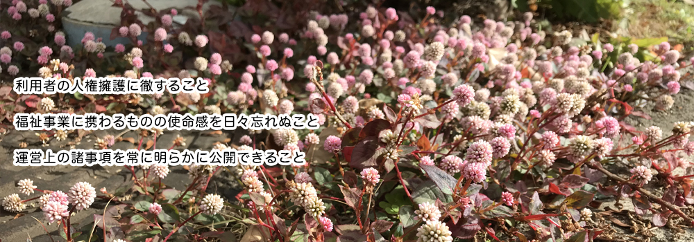 愛の森学園