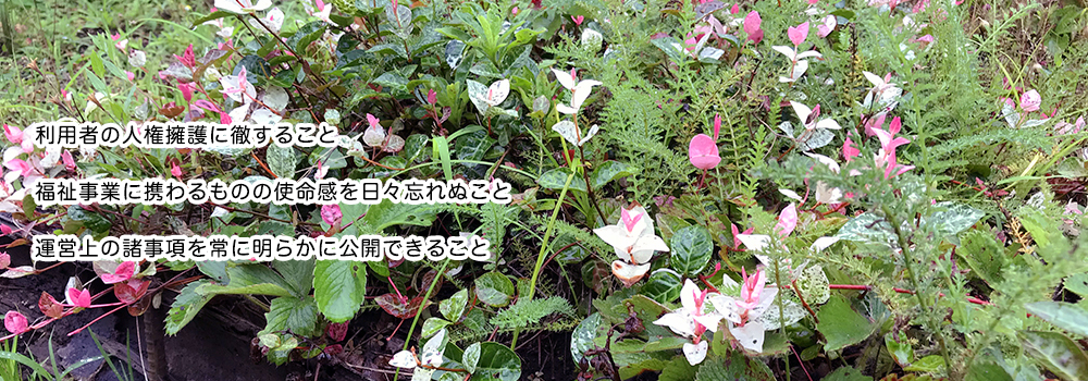 愛の森学園