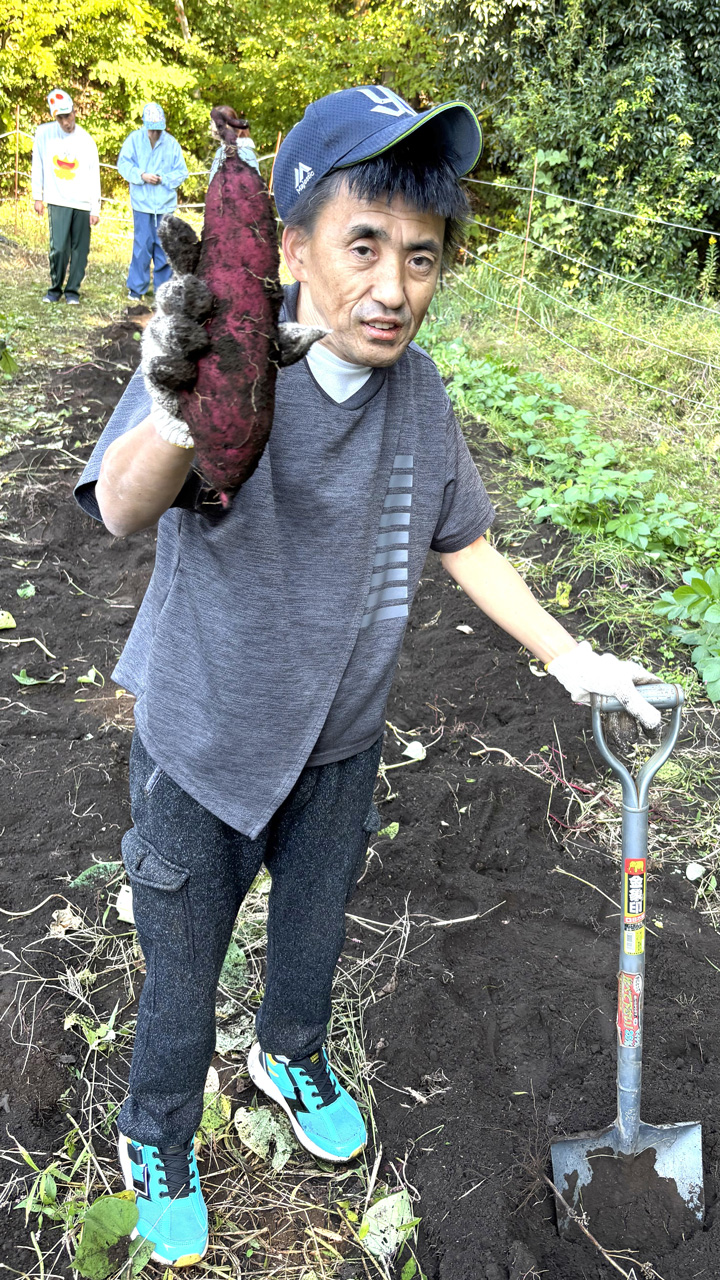 [収獲！] 農福連携３年目！ 今年もまずまずの収穫でした(^^♪：11月７日(金) 3