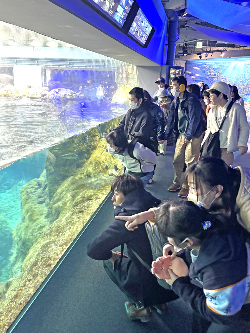 [通所旅行！] 新江の島水族館に行ってまいりました！：11月18日(火) 4