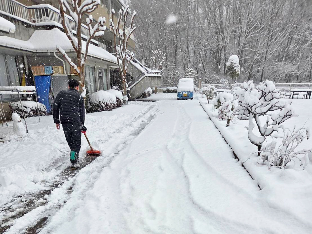 [大雪と選挙！] 期日前投票組は行けたのですが…：２月５日(木) 3