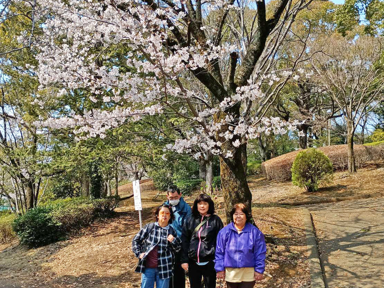 [花見！] GH有志は公園で！一方の学園は「花よりシュークリーム」(笑)！：３月29日(日)、４月１日(水) 5