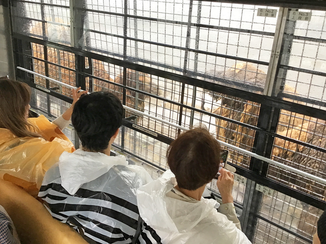 [キックオフ！] 今年も元気に日帰り旅行！～第１弾はサファリパーク：５月21日(木) 3