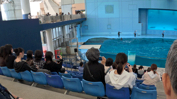 [大迫力！] 海の生き物の迫力を満喫！＠八景島シーパラダイス：６月18日(木) 1