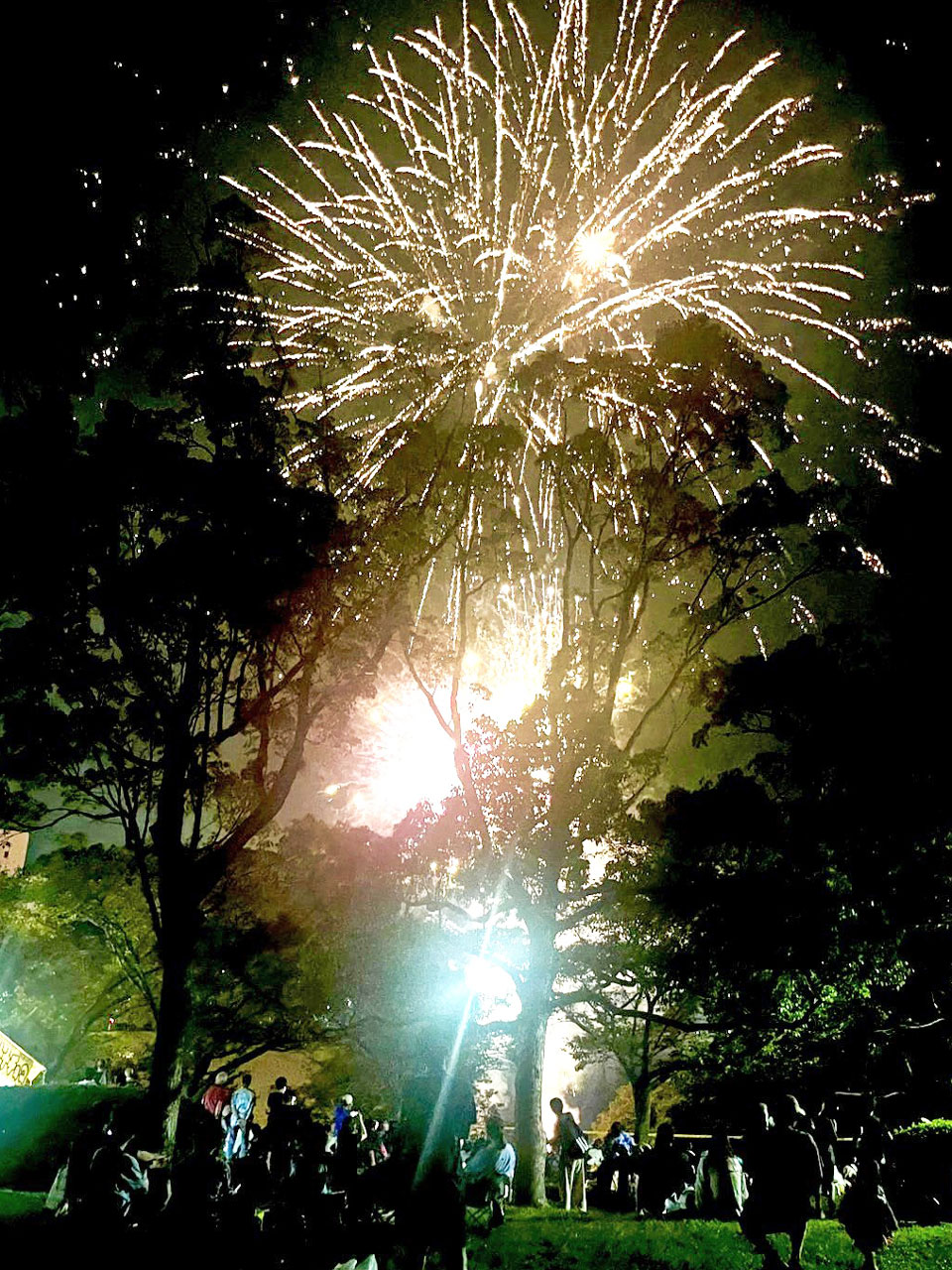 [森の里夏祭り] 伝統ある地域のお祭りに、今年も参加させていただく！：８月15日(土) 1